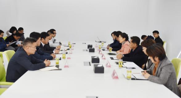 常州市長盛蕾調研安靠智電